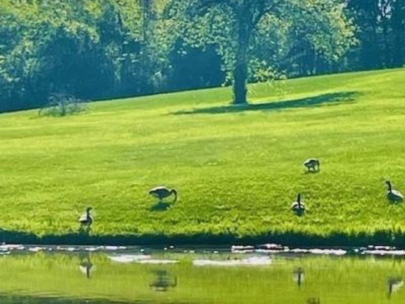 5004 River Road, Perry, OH 44057 Photo 6