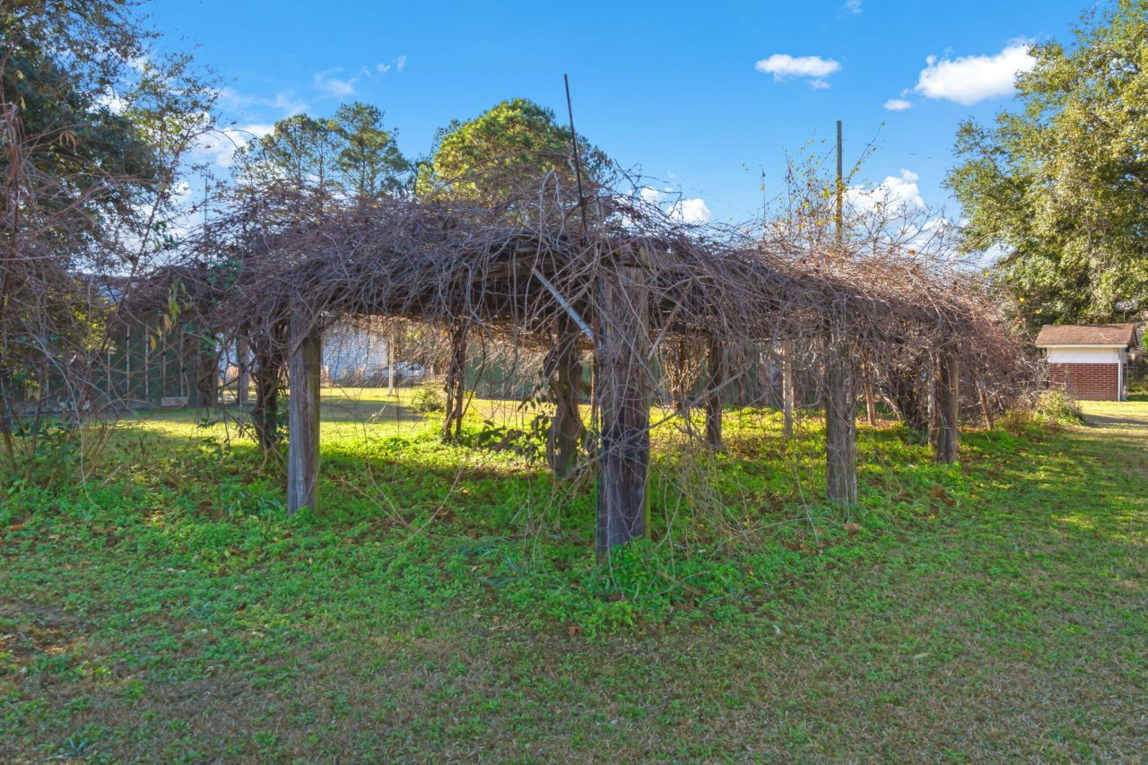 113 Sandy Branch Road Photo 40