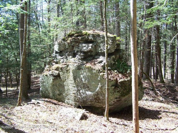 Tbd Buck Road, Stone Ridge, NY 12484
