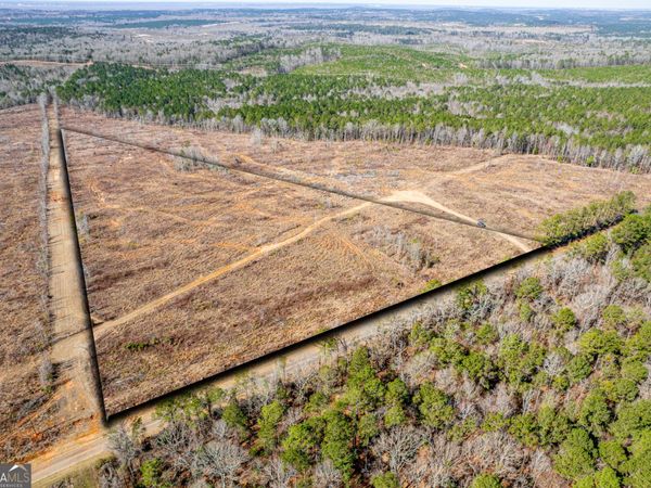 869 Marion Ripley Road, Dry Branch, GA 31020