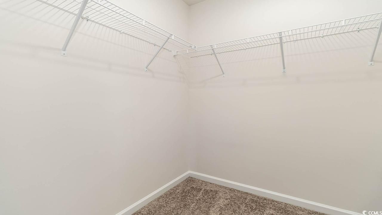 119 Coralberry Dr. Photo 17