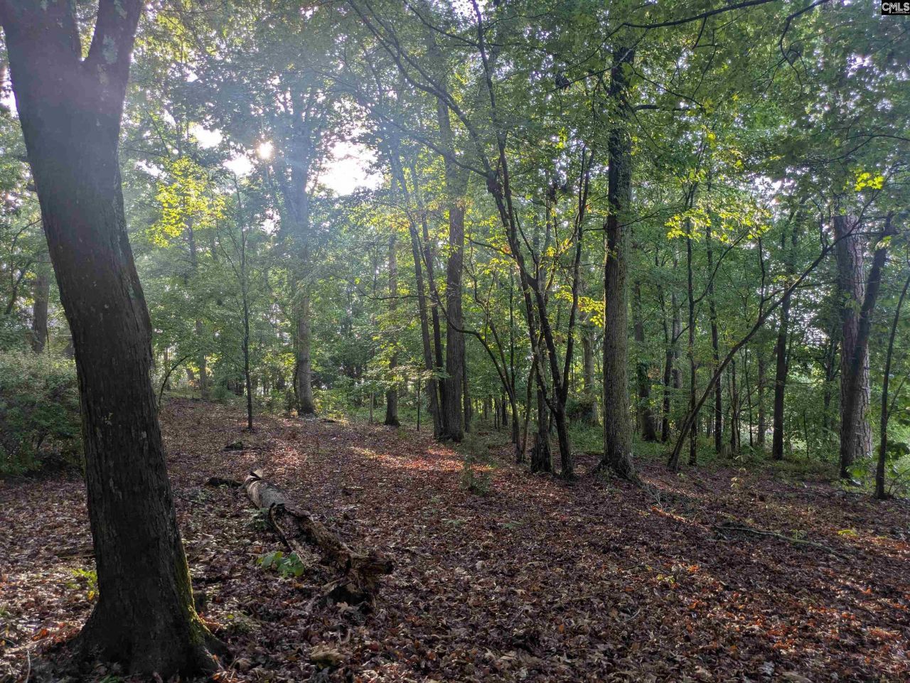 779 Hope Ferry Road Photo 16