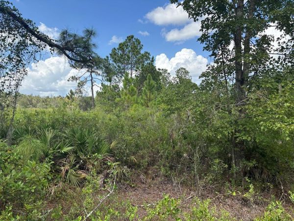 0 County Rd 54, Kathleen, FL 33849