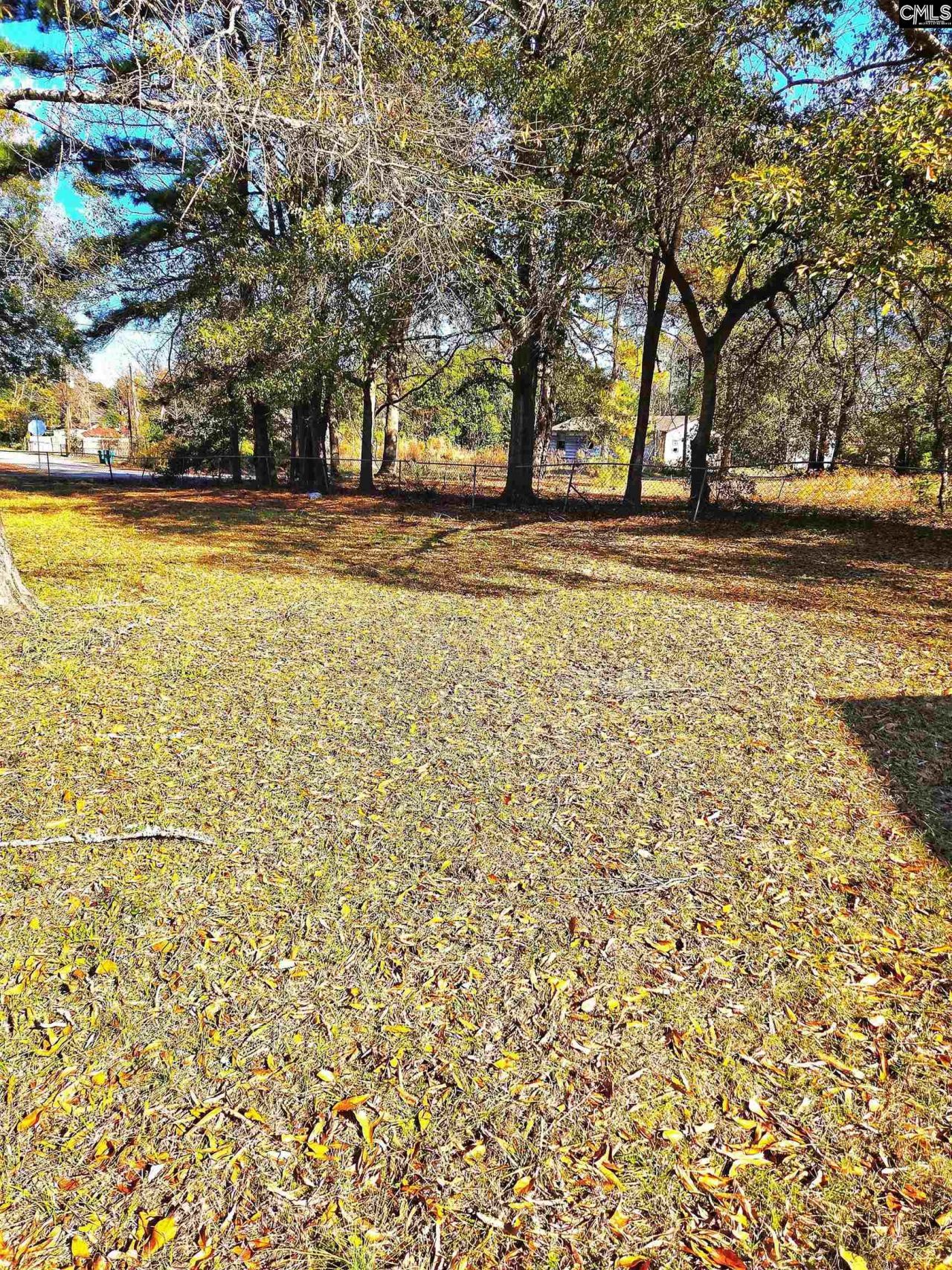 250 Dyson Street Photo 13