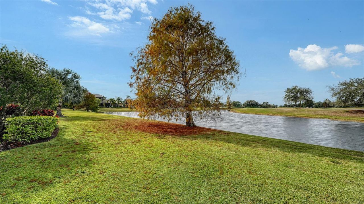 15621 Linn Park Terrace, Lakewood Ranch, FL 34202 Photo