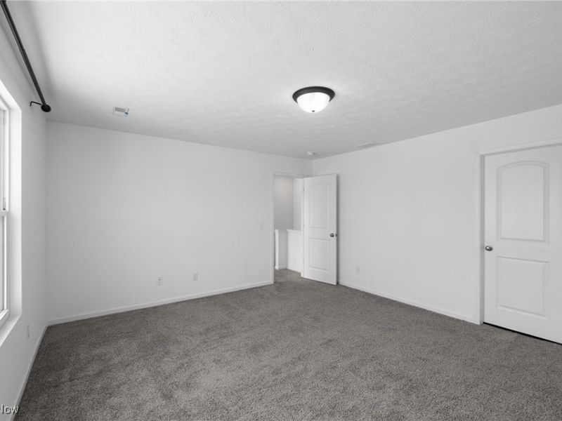 8981 Leatherleaf Drive, Columbia Station, OH 44028 Photo 22