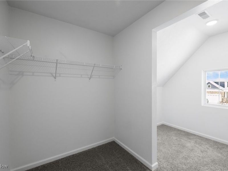 8981 Leatherleaf Drive, Columbia Station, OH 44028 Photo 25