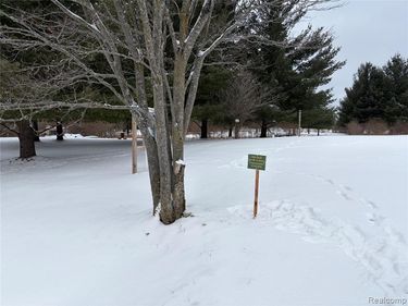 5467 Wellington, Butman Twp, MI 48624