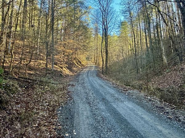 25.72/Ac Tbd Rollins Road, Hartford, TN 37753