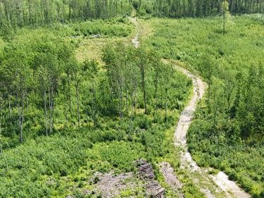 17 E County Road, Mizpah, MN 56660