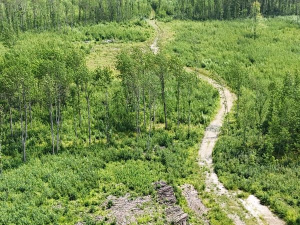 17 E County Road, Mizpah, MN 56660