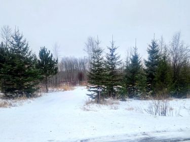 County Road 17 E County Road 17 E, Mizpah, MN 56660