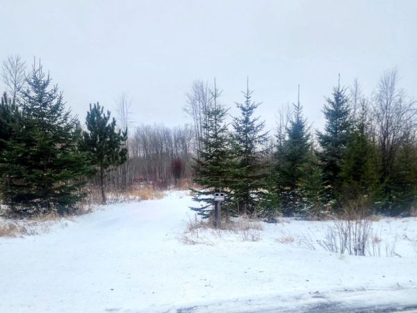 County Road 17 E County Road 17 E, Mizpah, MN 56660