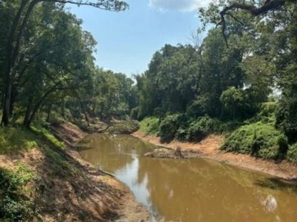 0 Bodcau Station Road , Haughton, LA 71037