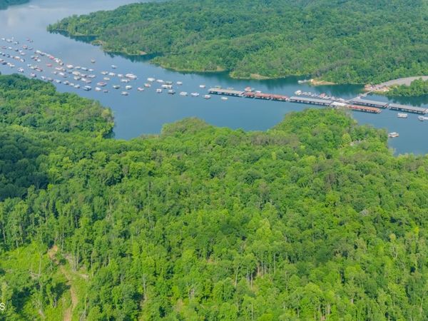 0 Lake Lane , New Tazewell, TN 37825