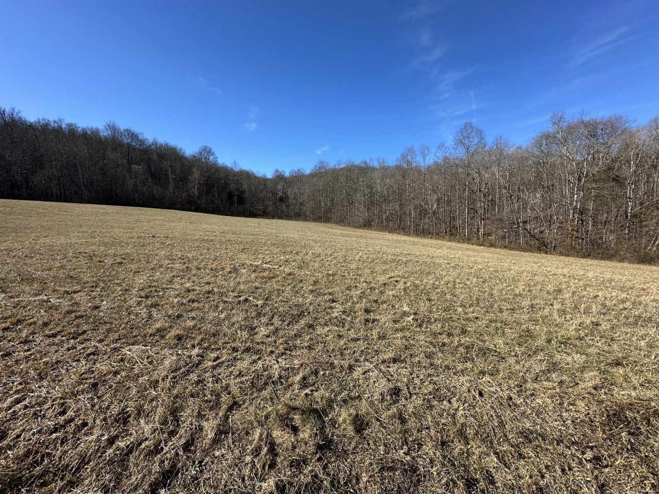 0 Whites Cave Rd, Sparta, TN 38583 Main Photo