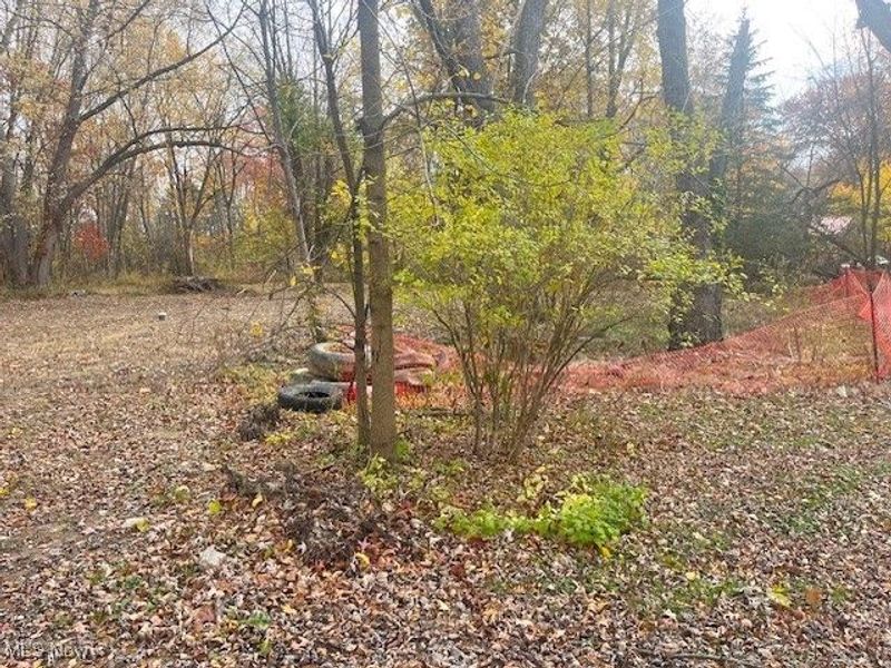 7411 Stearns Road, Olmsted Township, OH 44138 Photo 3