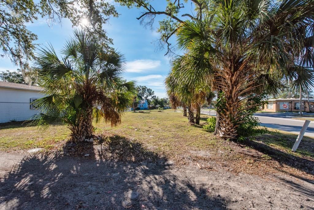 2459 25th Avenue S, Saint Petersburg, FL 33712 Photo