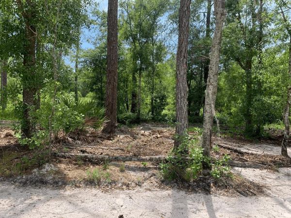 0 County RD 54 E, Kathleen, FL 33849