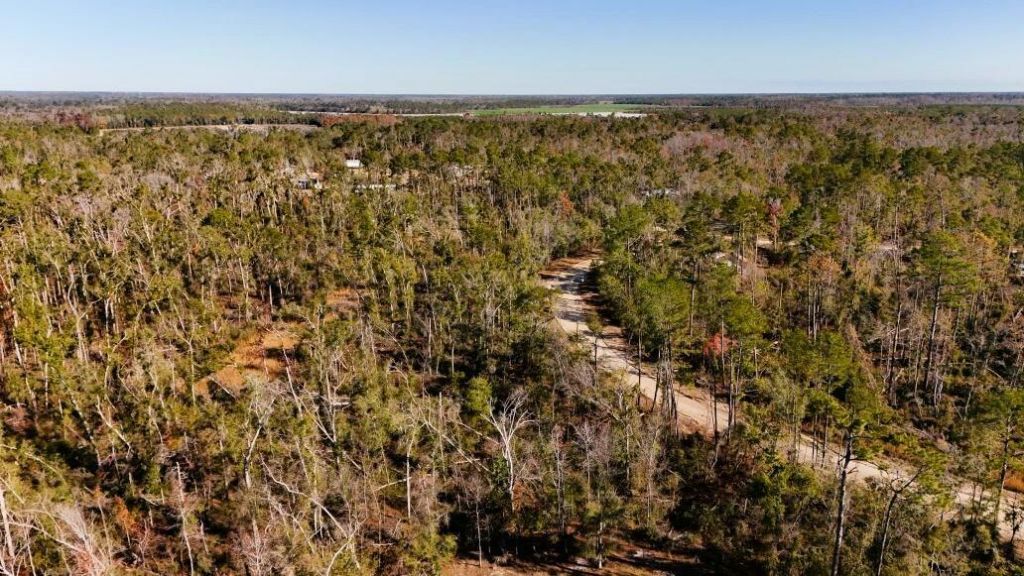 Lot 7 NW 27th Terrace, Jennings, FL 32053 Photo