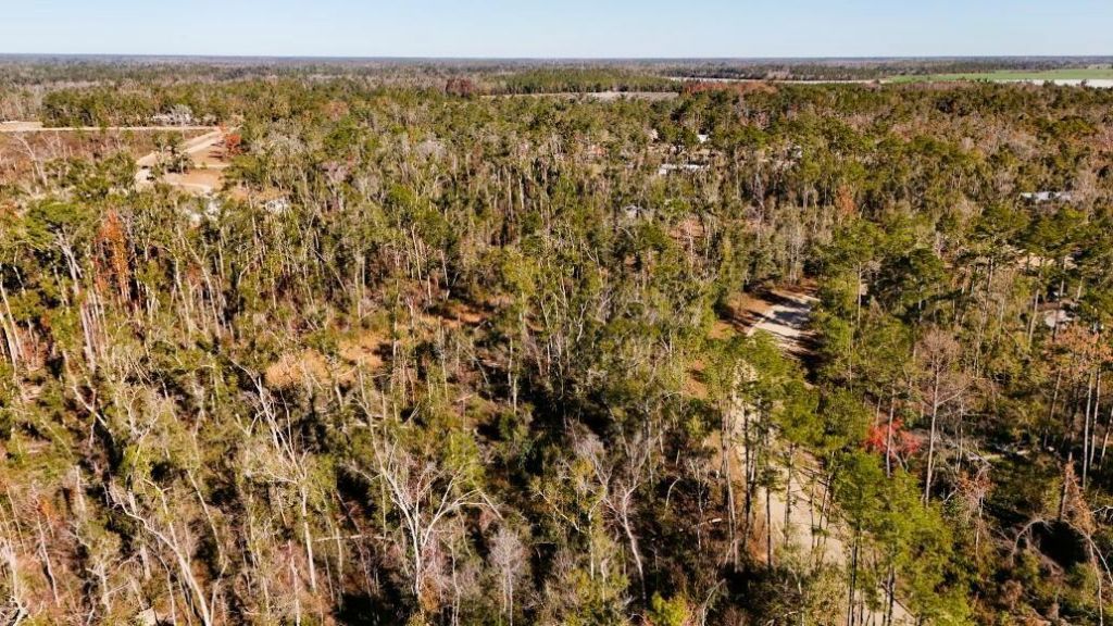 Lot 7 NW 27th Terrace, Jennings, FL 32053 Photo