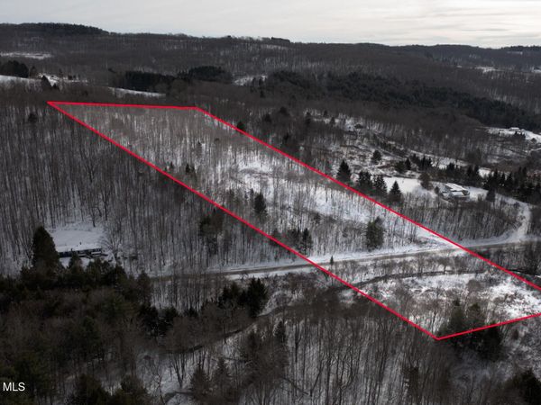 L3.7 Pine Swamp Road, Sidney Center, NY 13839