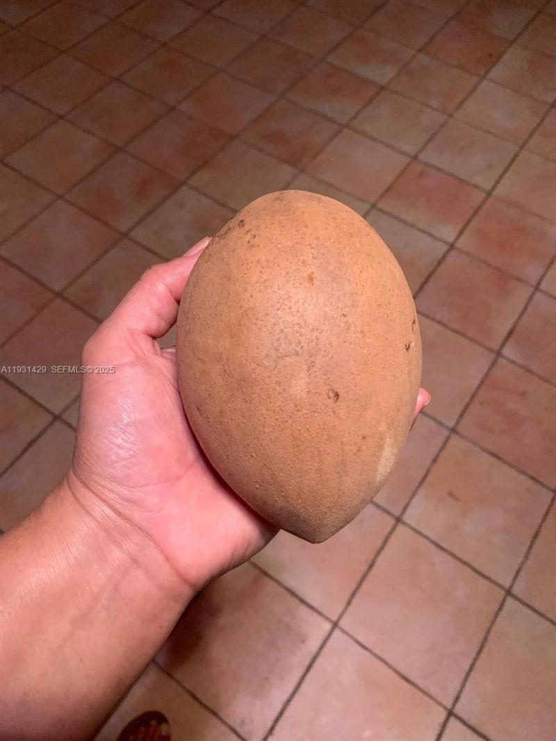 10955 SW 56th St, Miami, FL 33165 Photo