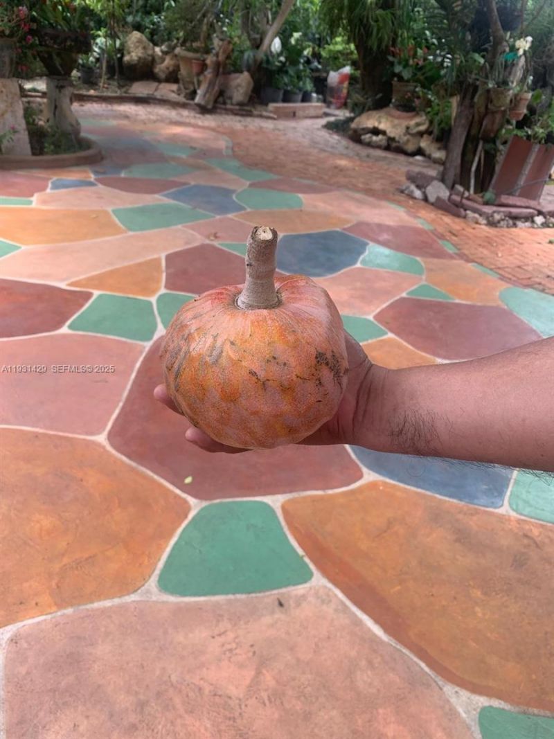 10955 SW 56th St, Miami, FL 33165 Photo