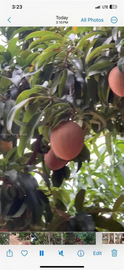 10955 SW 56th St, Miami, FL 33165 Photo