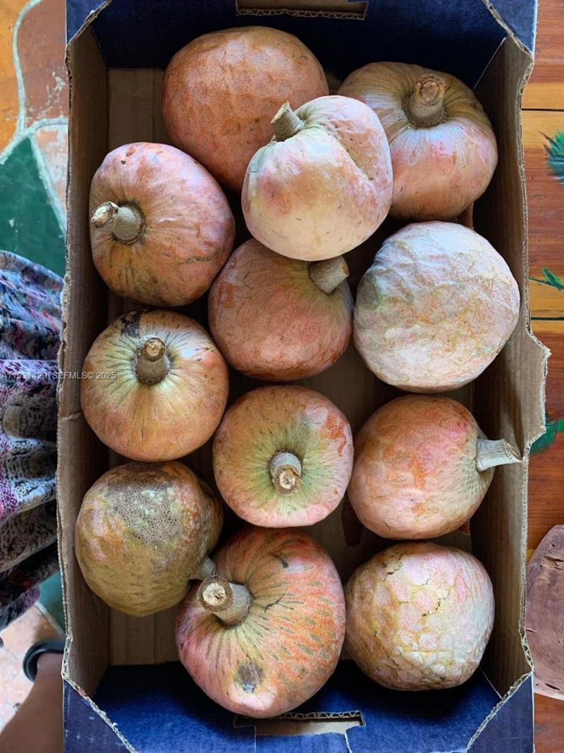 10955 SW 56th St, Miami, FL 33165 Photo