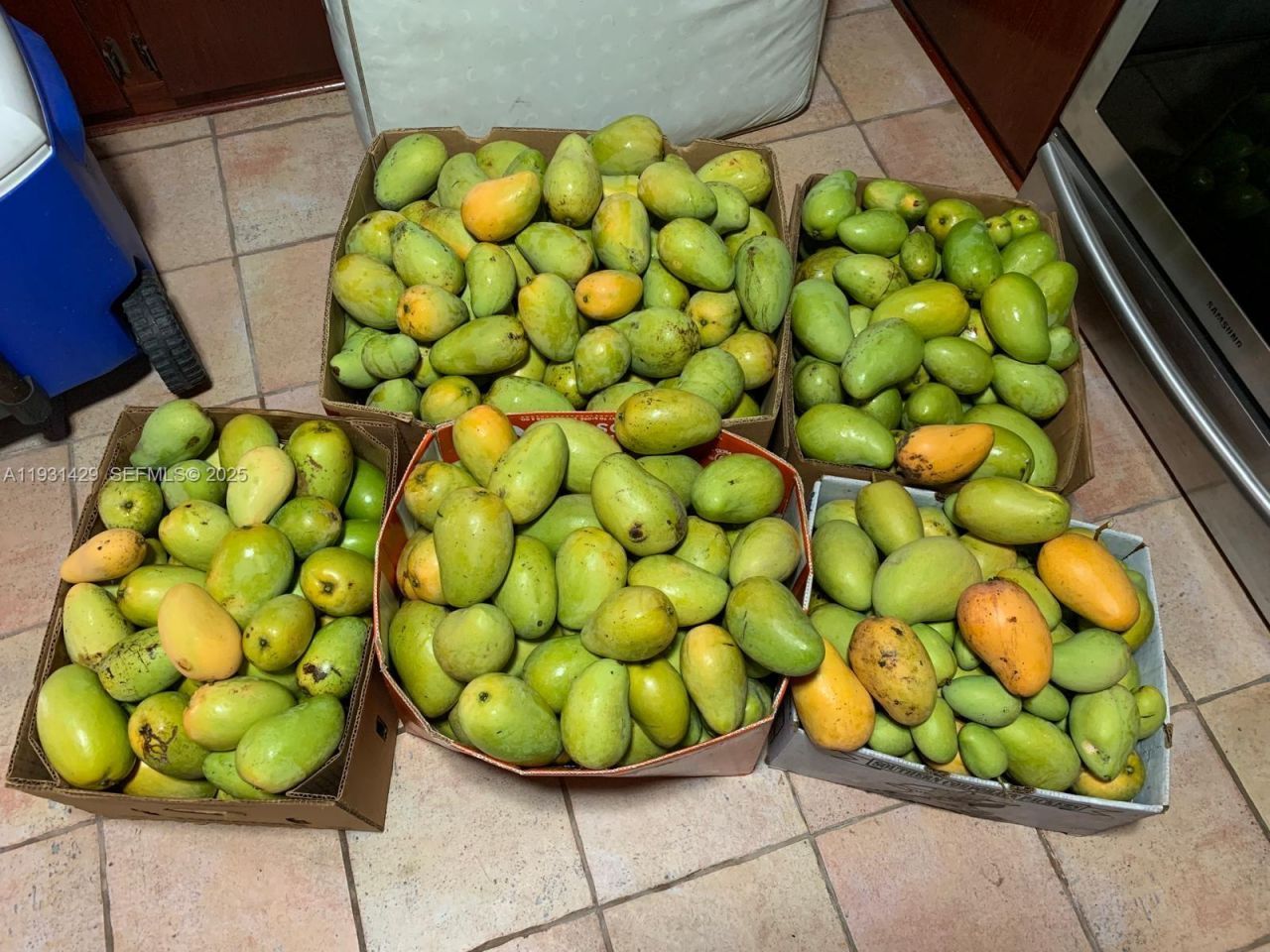 10955 SW 56th St, Miami, FL 33165 Photo