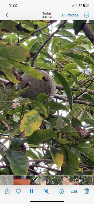 10955 SW 56th St, Miami, FL 33165 Photo