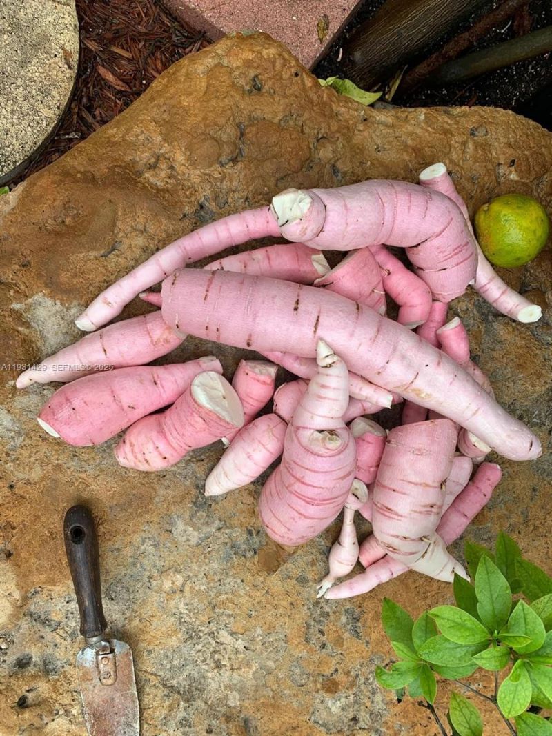 10955 SW 56th St, Miami, FL 33165 Photo