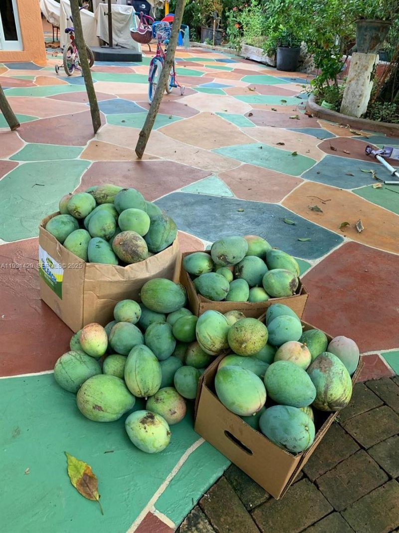 10955 SW 56th St, Miami, FL 33165 Photo