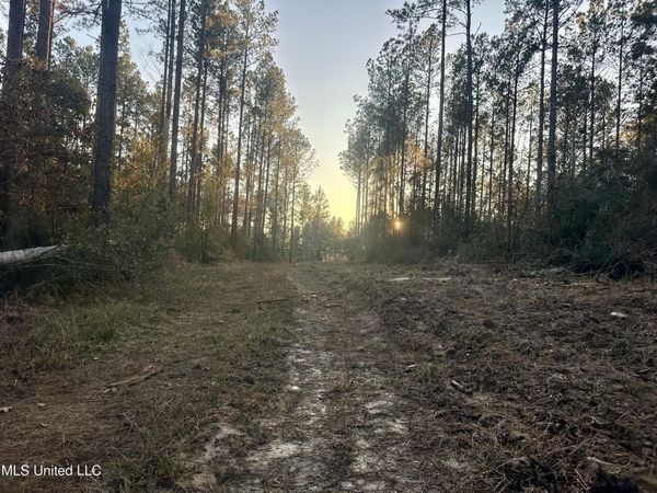 000 Monticello Road, Wesson, MS 39191