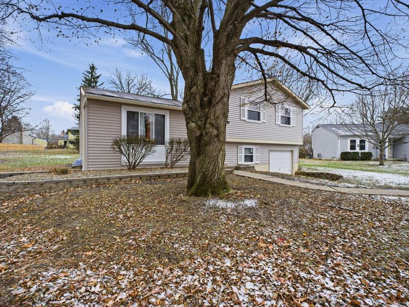 5226 Spring Beauty Court, Columbus, OH 43230 Photo 3