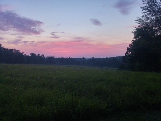 7838 Shoals Branch Rd, Primm Springs, TN 38476 Main Photo