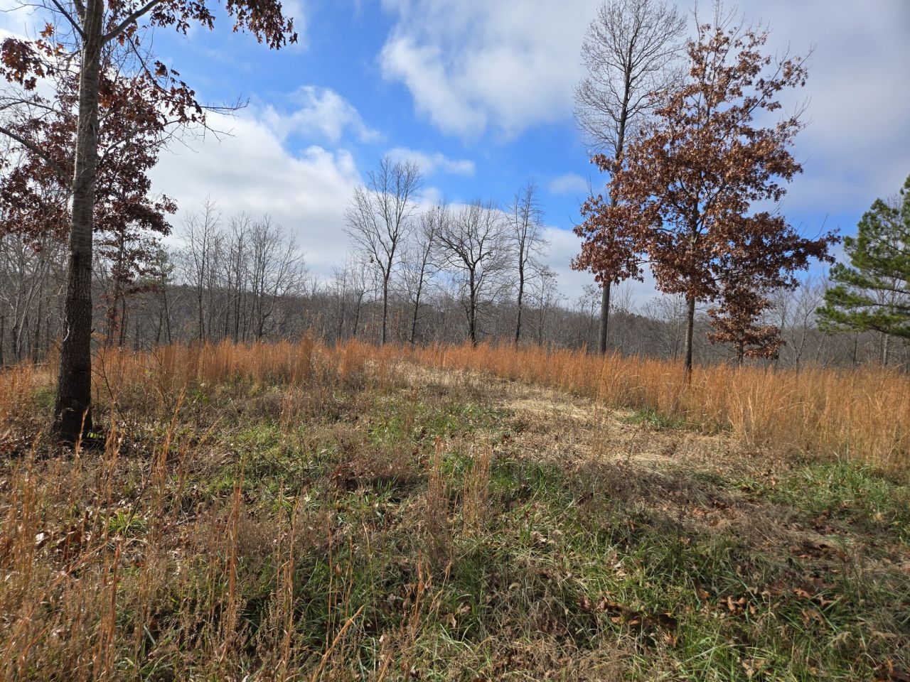 30 W Dry Creek Rd, Liberty, TN 37095 Main Photo