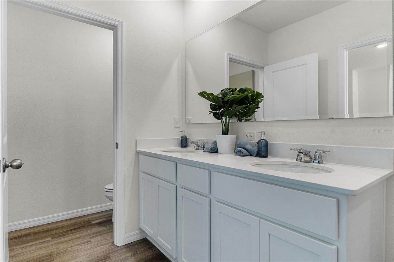 2323 Ashwood Bluff Drive, Ocoee, FL 34761 Photo