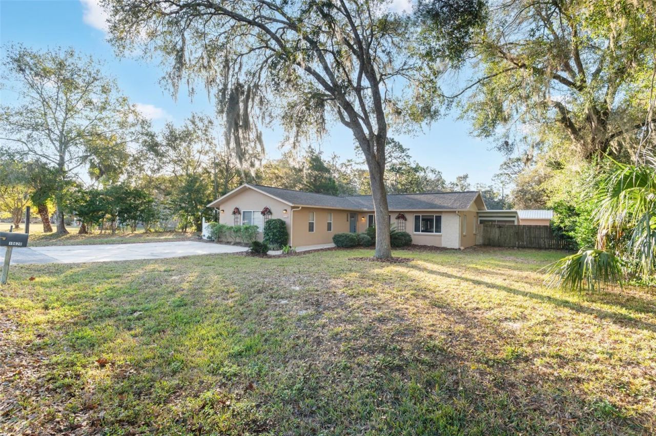 10620 Fawn Drive, New Port Richey, FL 34654 Photo