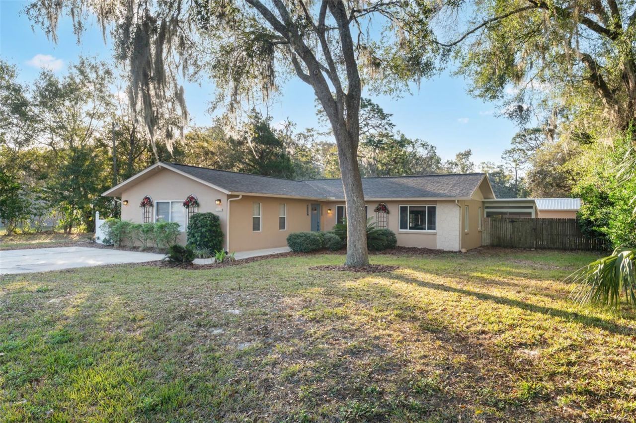 10620 Fawn Drive, New Port Richey, FL 34654 Photo