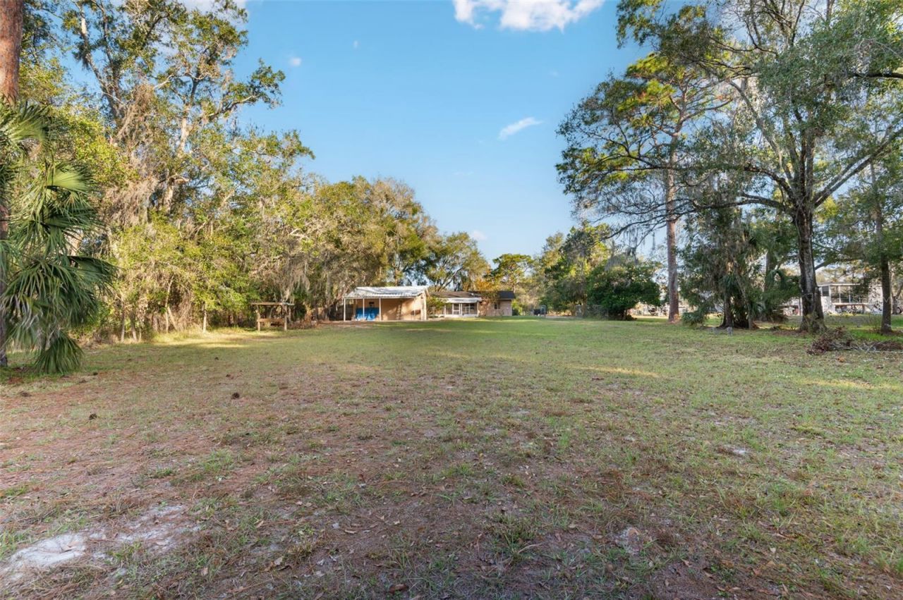 10620 Fawn Drive, New Port Richey, FL 34654 Photo