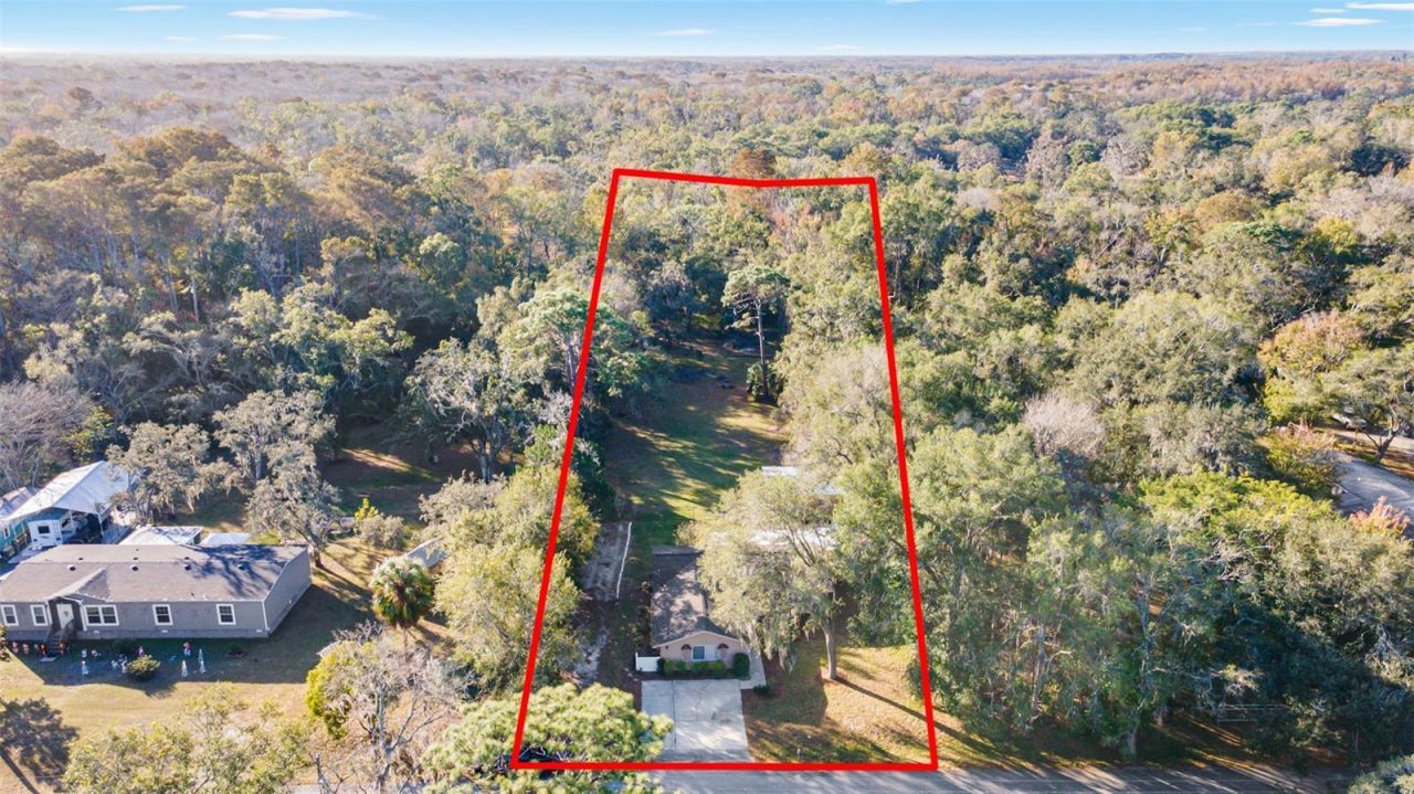 10620 Fawn Drive, New Port Richey, FL 34654 Photo