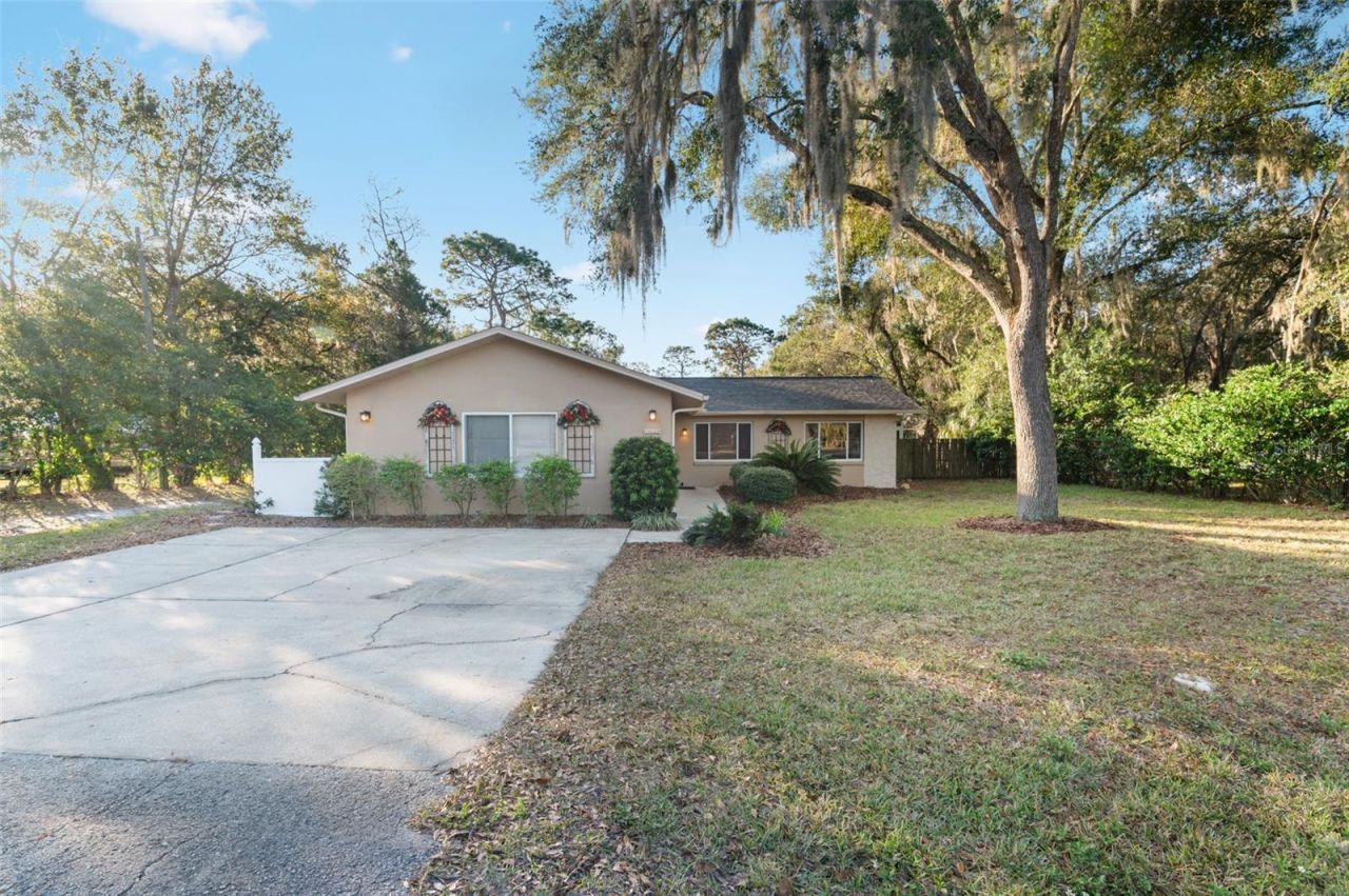 10620 Fawn Drive, New Port Richey, FL 34654 Photo
