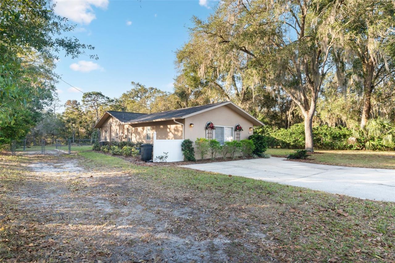10620 Fawn Drive, New Port Richey, FL 34654 Photo