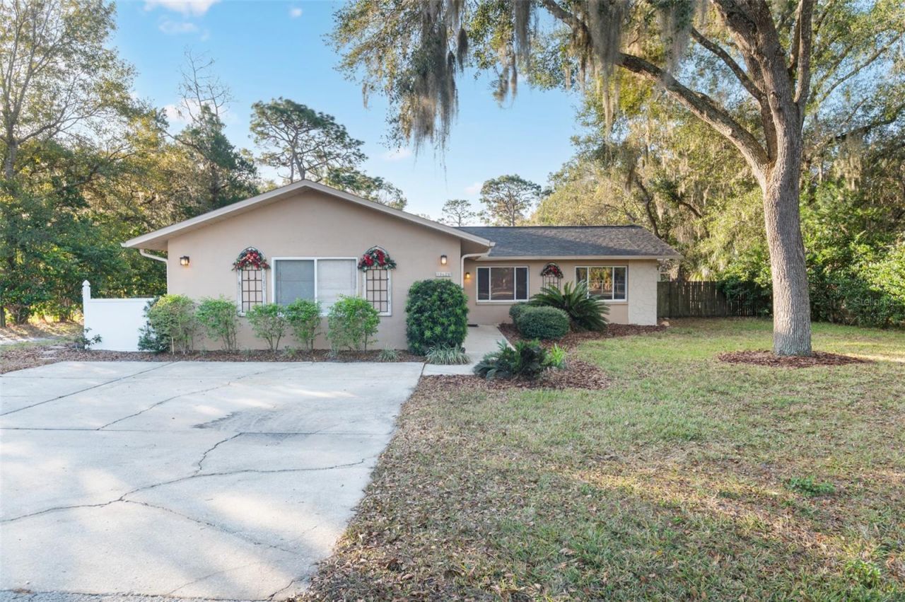 10620 Fawn Drive, New Port Richey, FL 34654 Photo