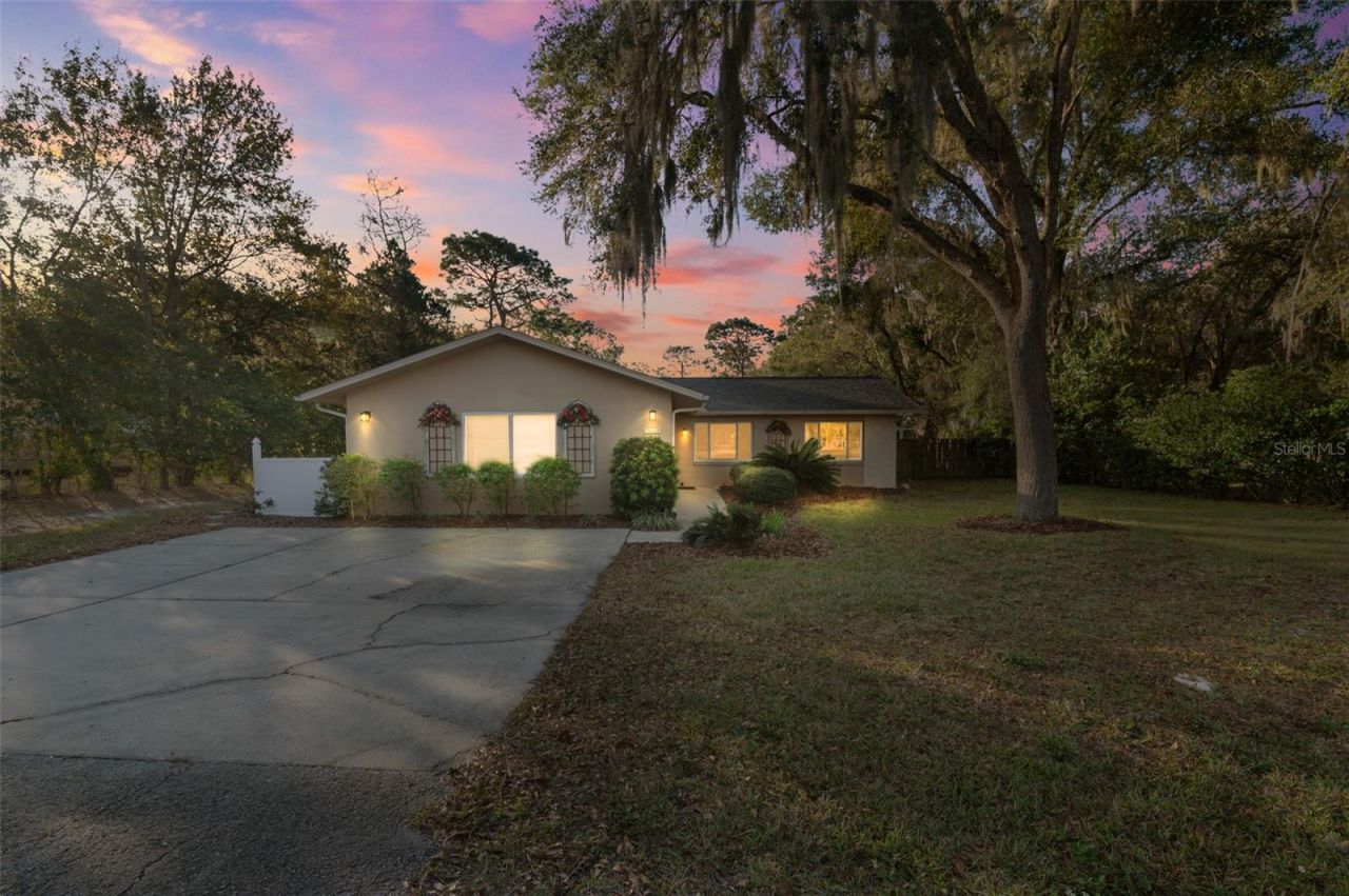 10620 Fawn Drive, New Port Richey, FL 34654 Photo