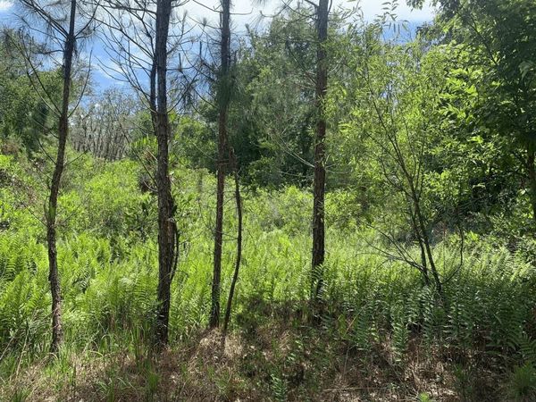 0 County RD 54 E, Kathleen, FL 33849