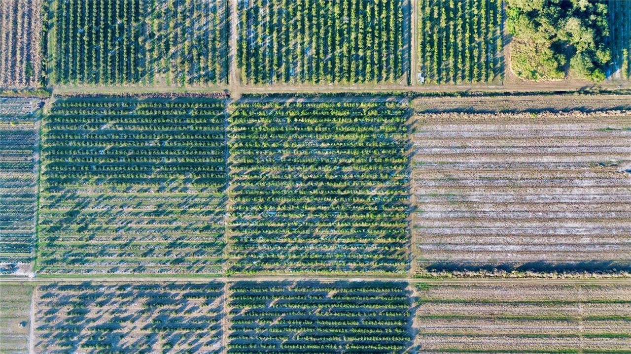 2205 Hicks Road, Lorida, FL 33857 Photo