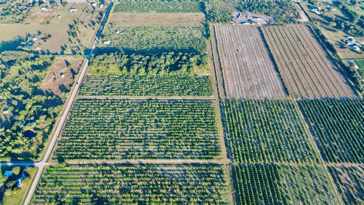 2205 Hicks Road, Lorida, FL 33857 Photo